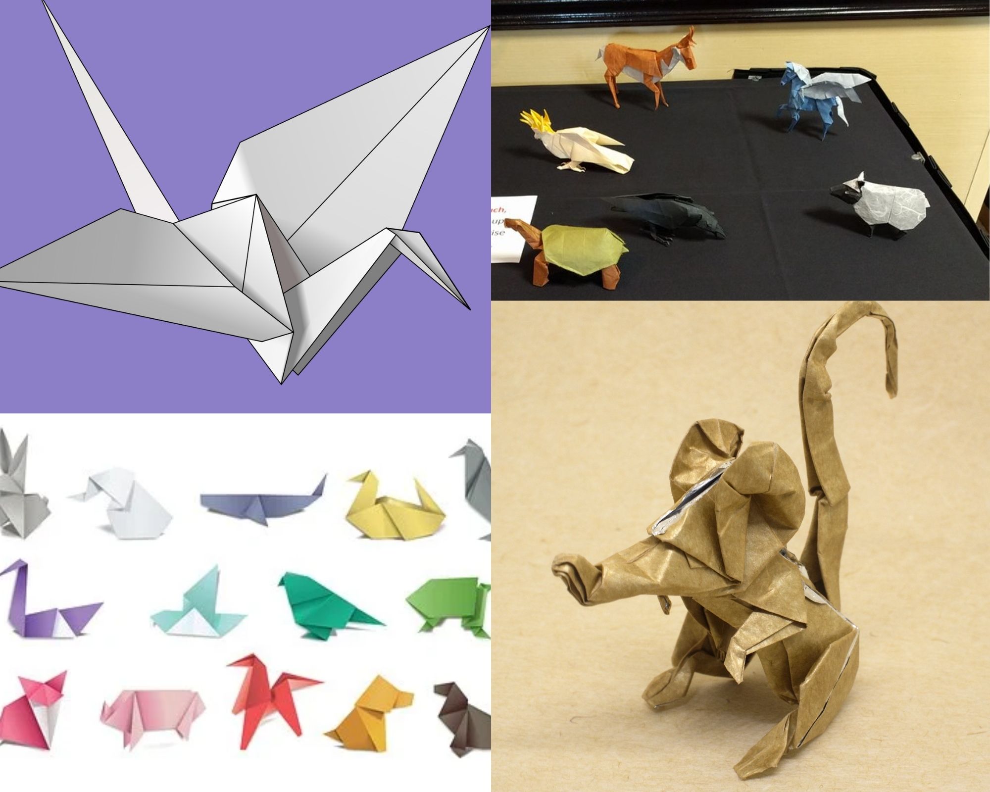 Origami canónico vs origami de autor